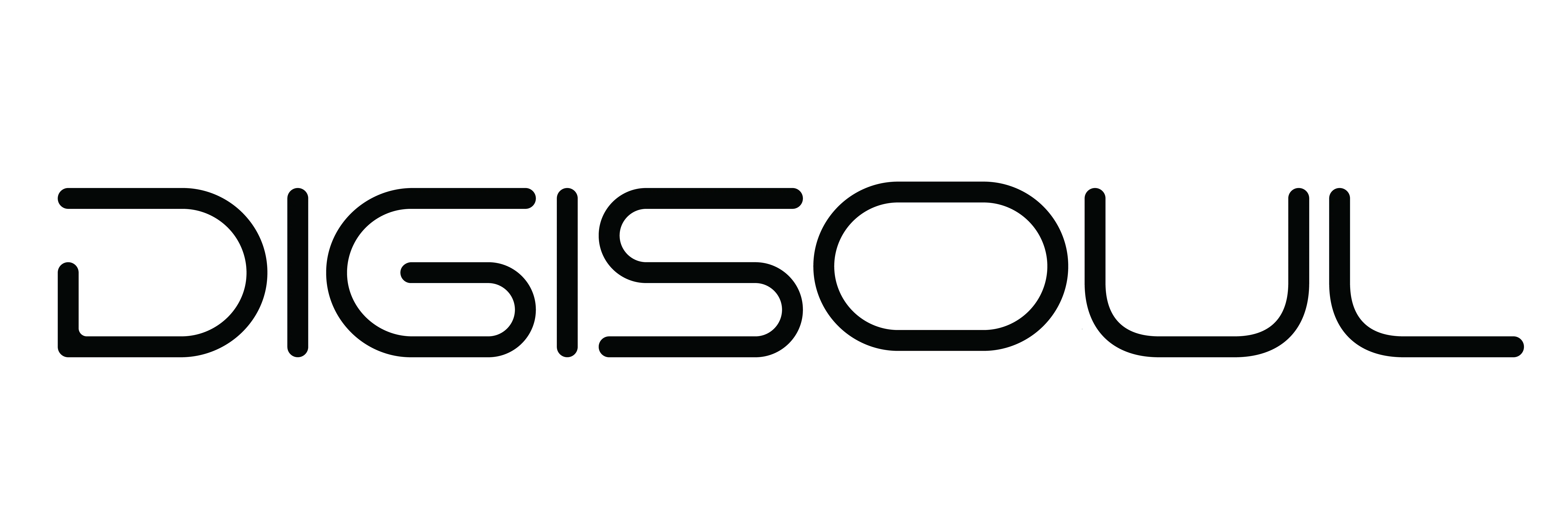Digisoul Controls logo